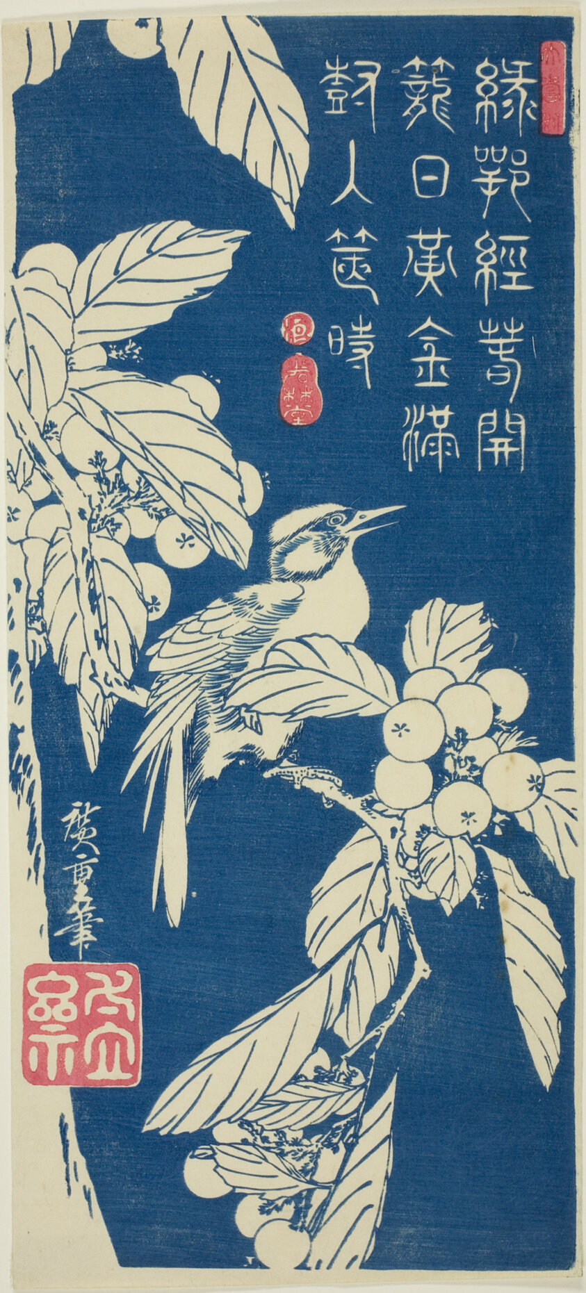 Loquat and bird