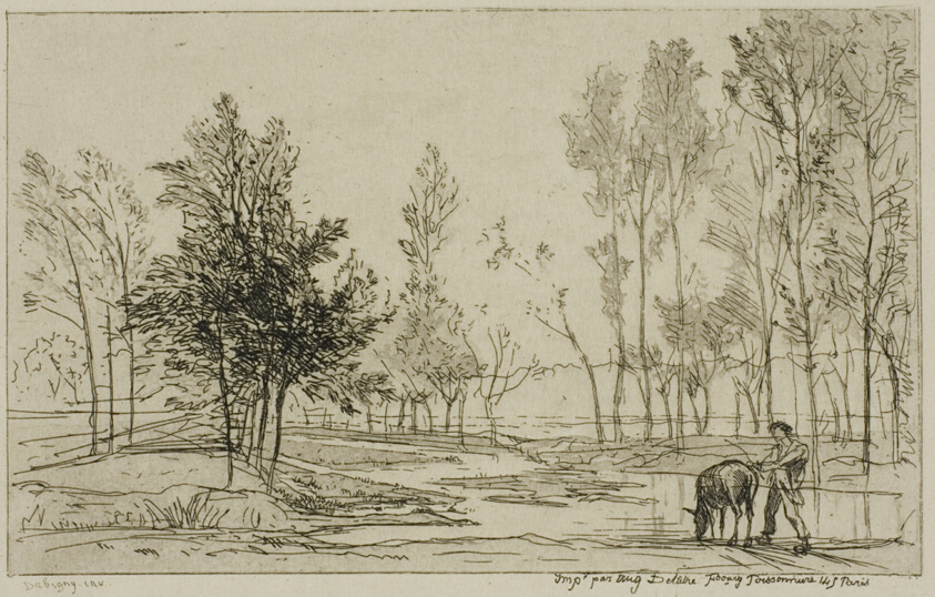 The Donkey at the Watering Place