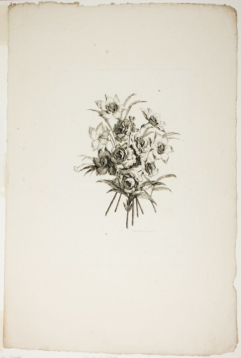 Bouquet with Daffodils, from Recueil de differents bouquets de fleurs