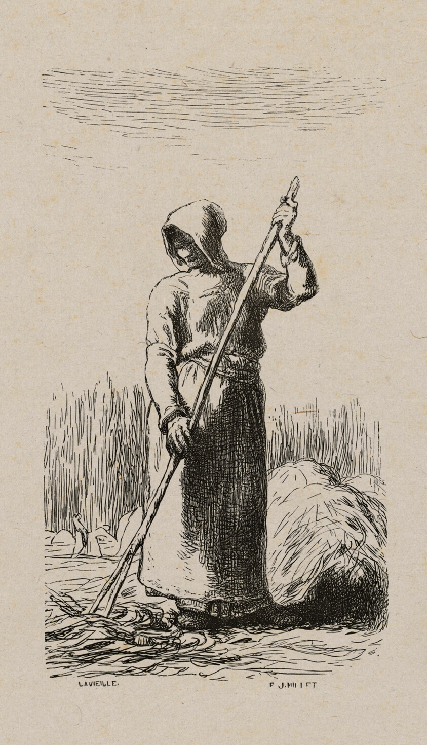 Woman Raking Hay
