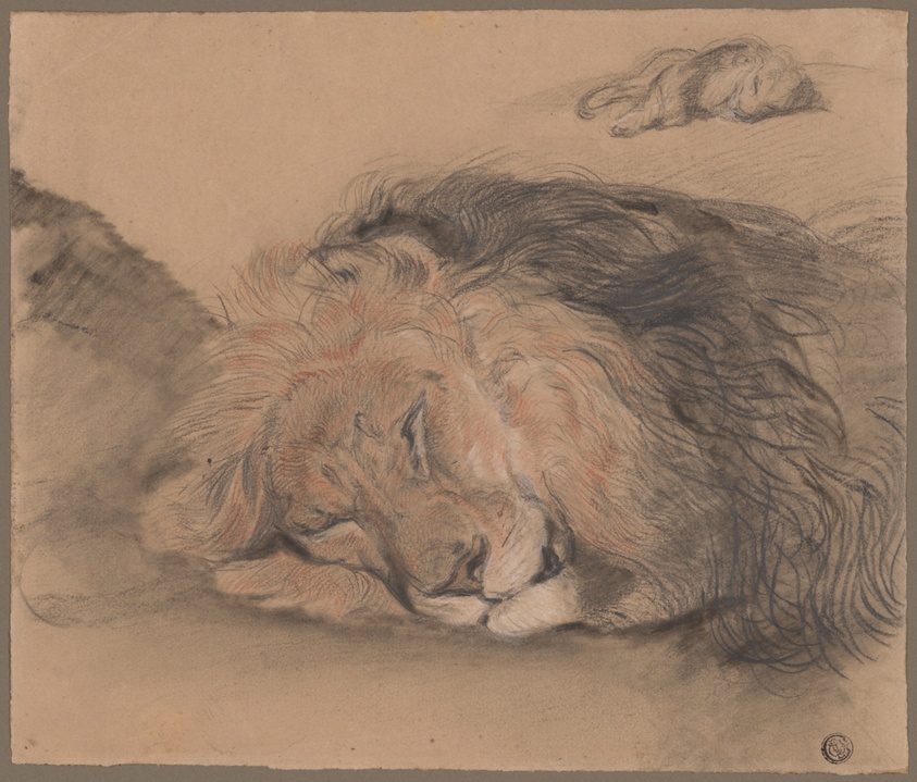 Lion's Head and Sketch of a Lion