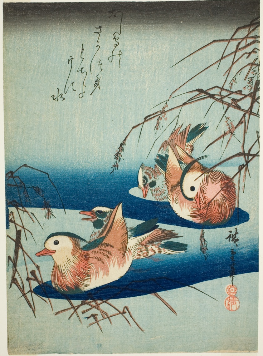 Mandarin ducks