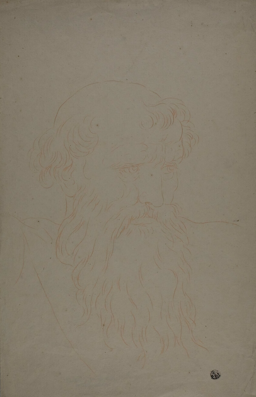 Head of a Bearded Man