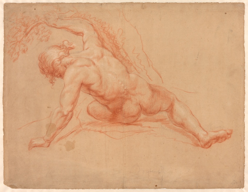 Male Nude Seen from Behind
