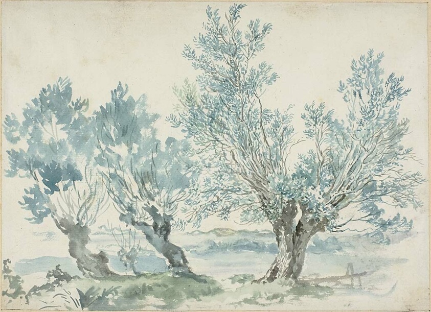 Three Willow Trees