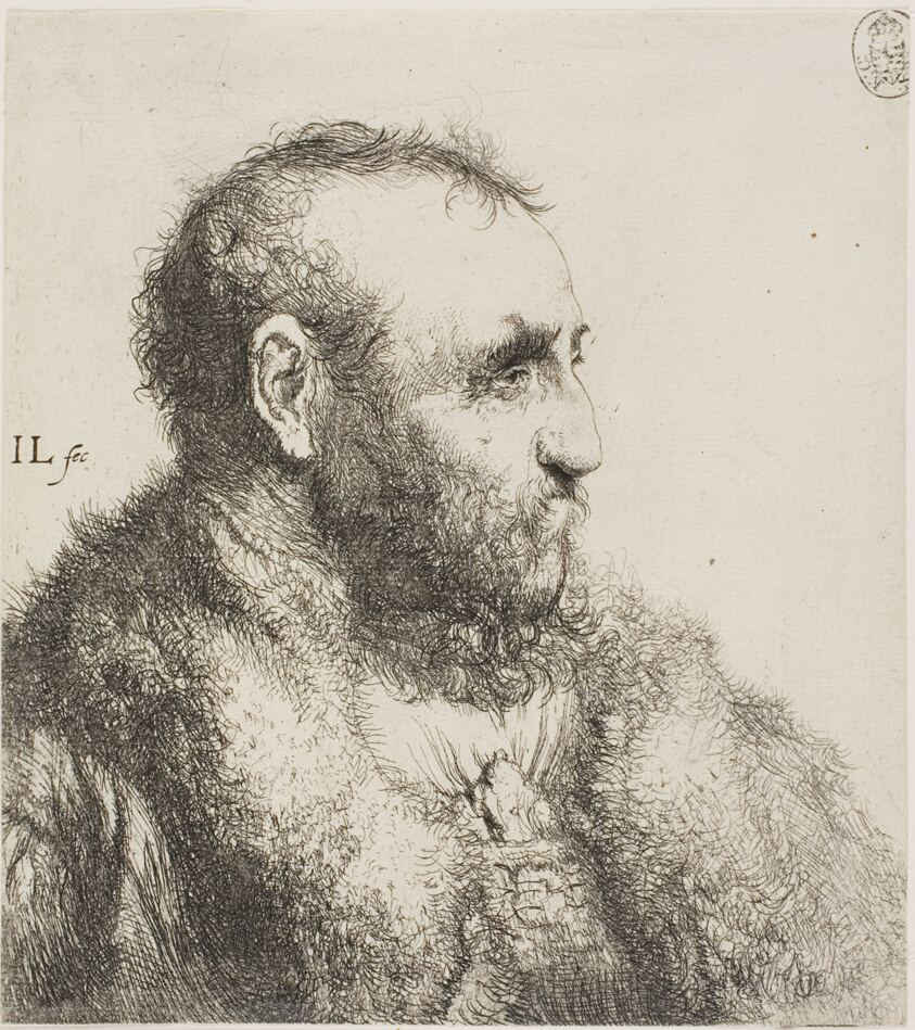 Bust of an Old Man