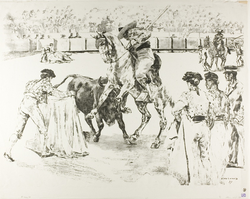 Bull-Fight