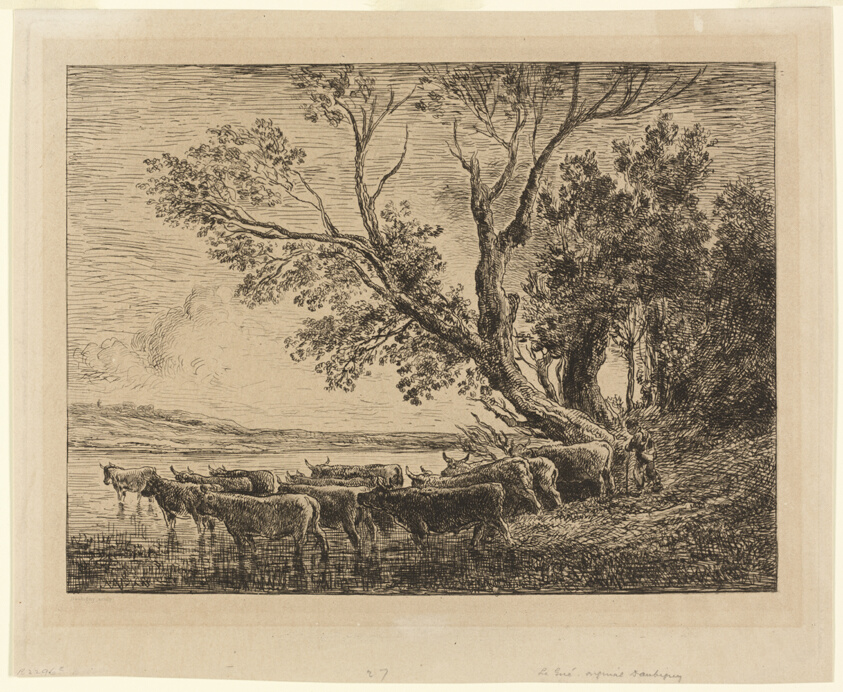 The Ford
