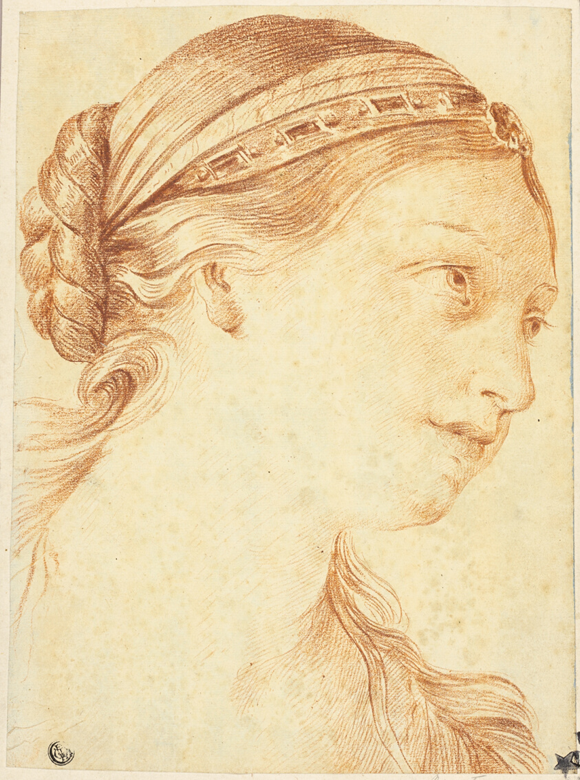 Woman's Head in Three-Quarter Profile to Right