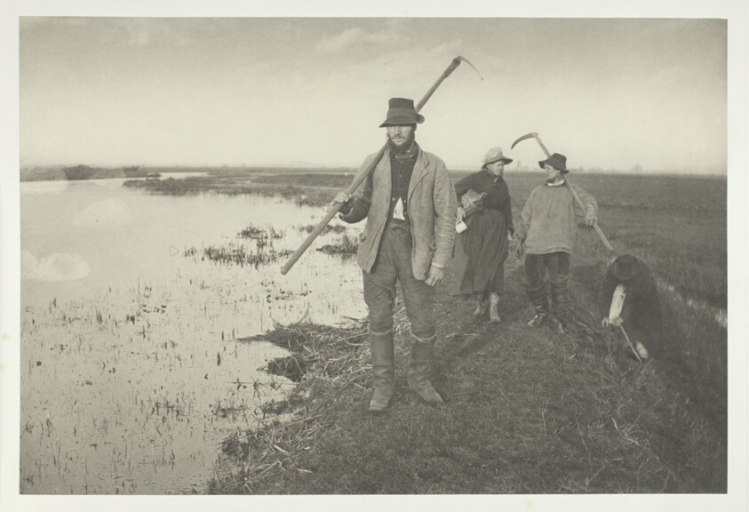 Coming Home from the Marshes