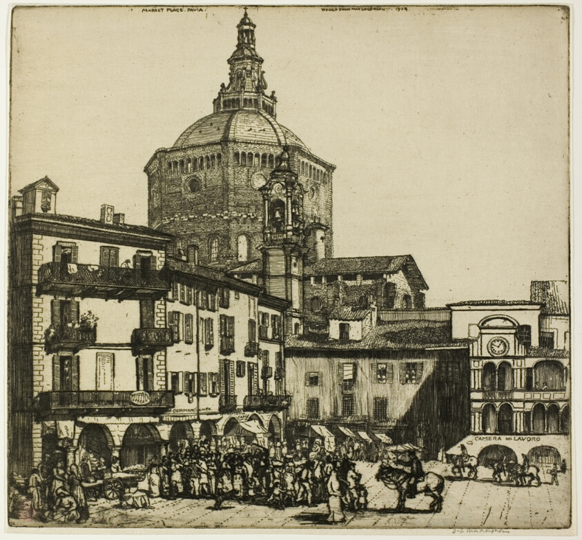Pavia