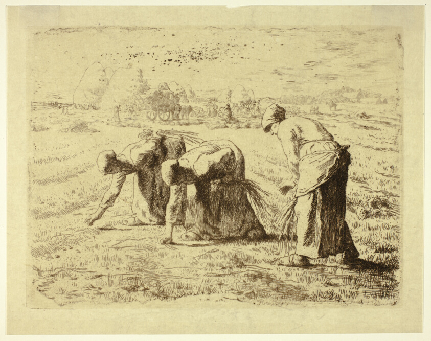 The Gleaners