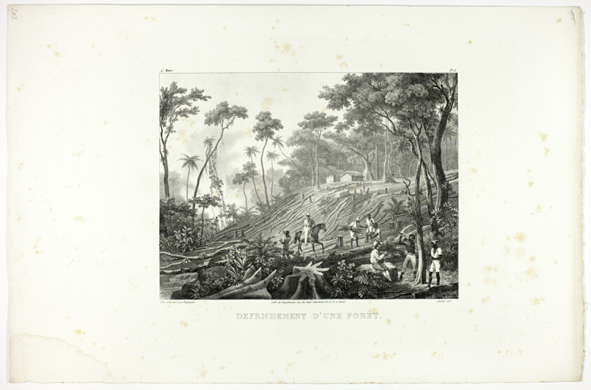 Clearing the Forest, plate 6 from Customs and traditions of Negroes, volume 4 of Voyage pittoresque dans le Brésil