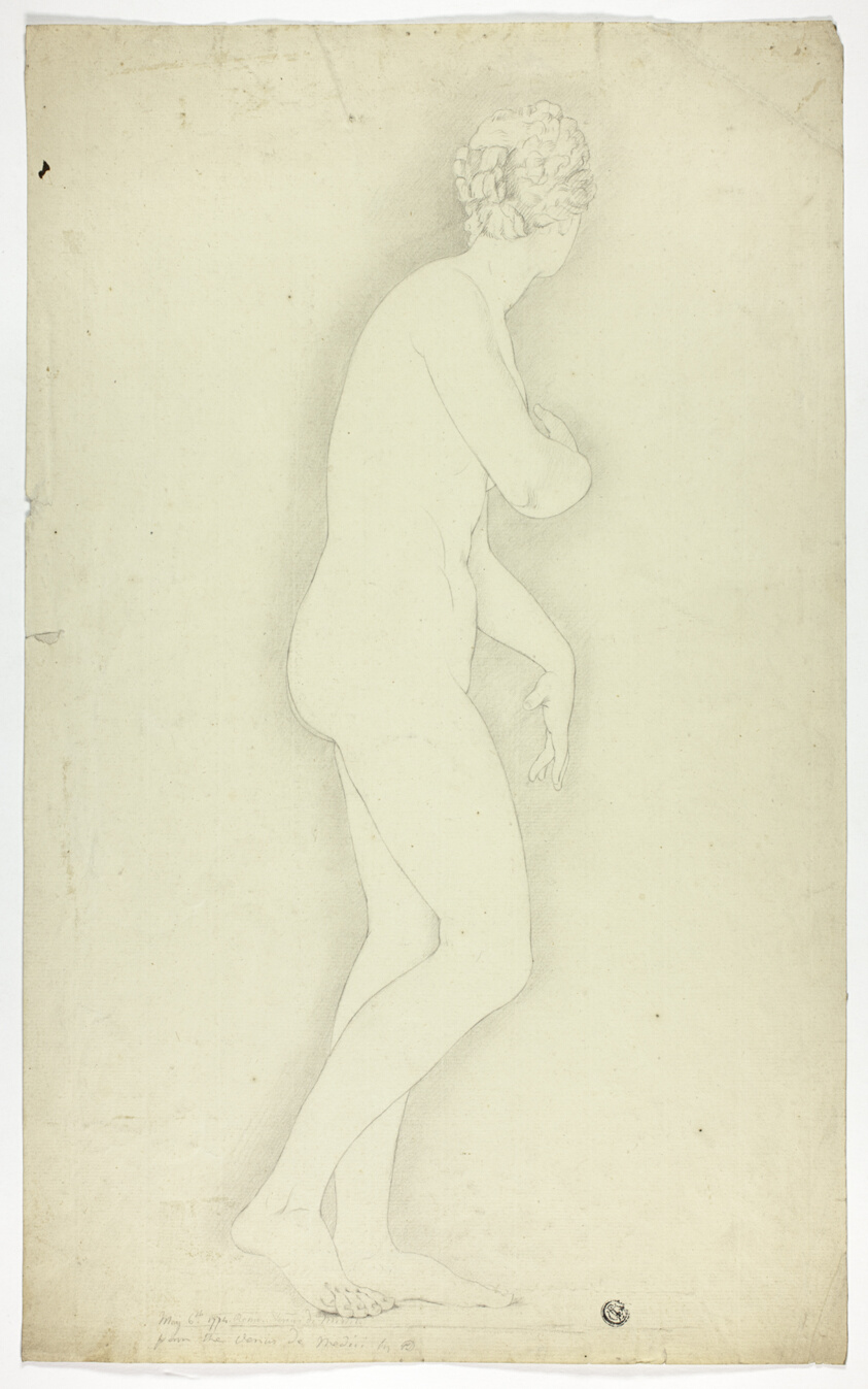 Study after Statue of Venus de' Medici