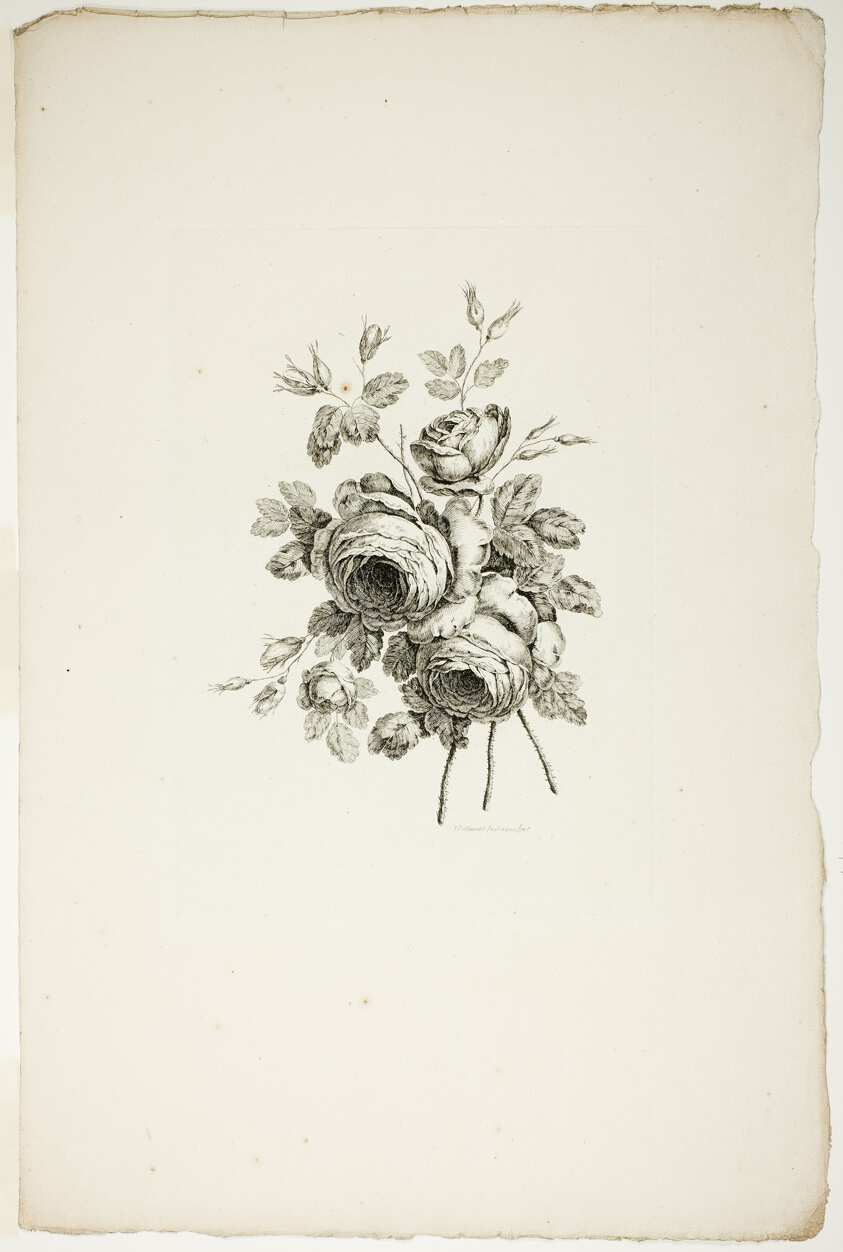 Bouquet with Roses, from Recueil de differents bouquets de fleurs