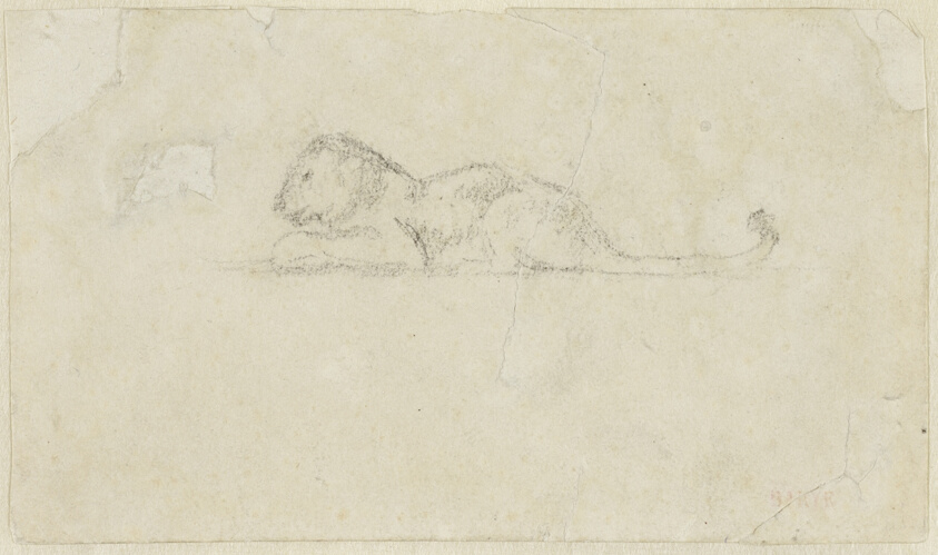 Seated Lioness