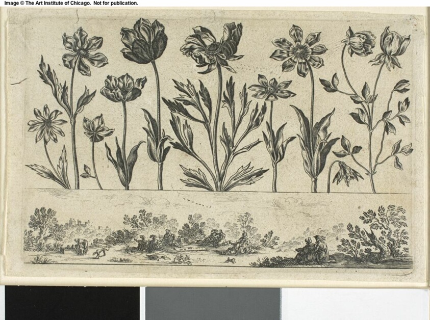 Flowers and Landscape, from Livre Nouveau de Fleurs...