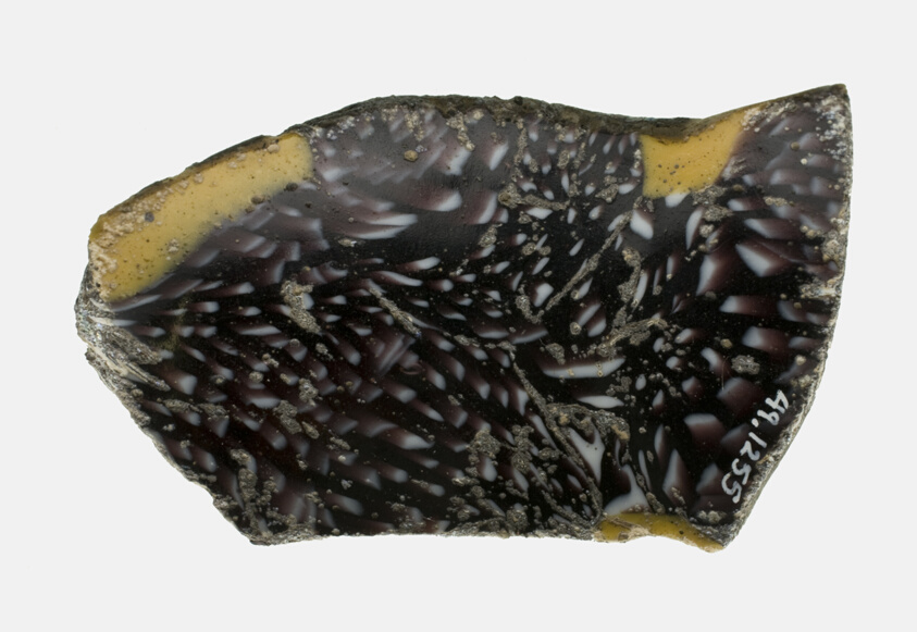 Fragment of a Bowl
