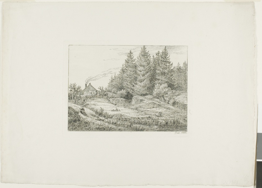 Farmhouse in an Evergreen Forest