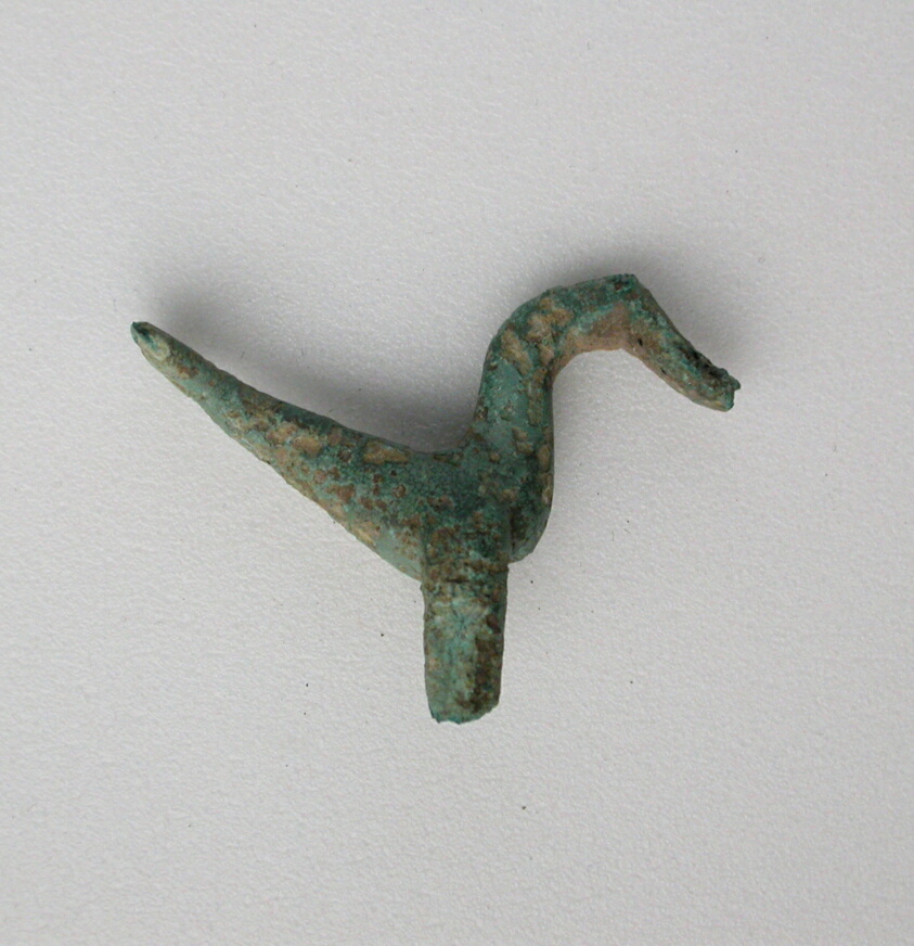 Bird with Flat Tail
