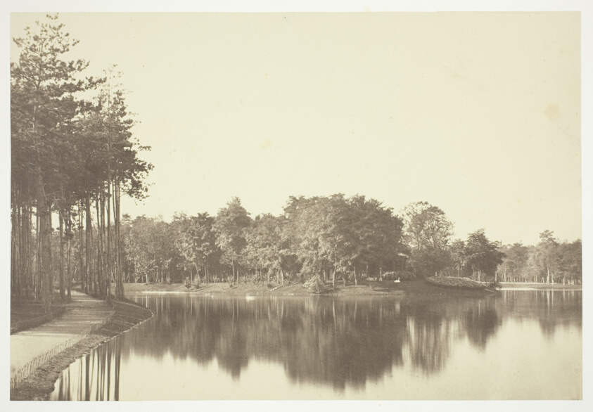 Untitled, from the series "Bois de Boulogne"