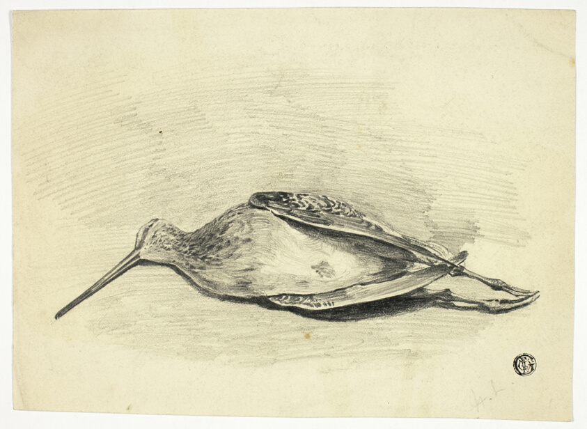 Dead Grouse