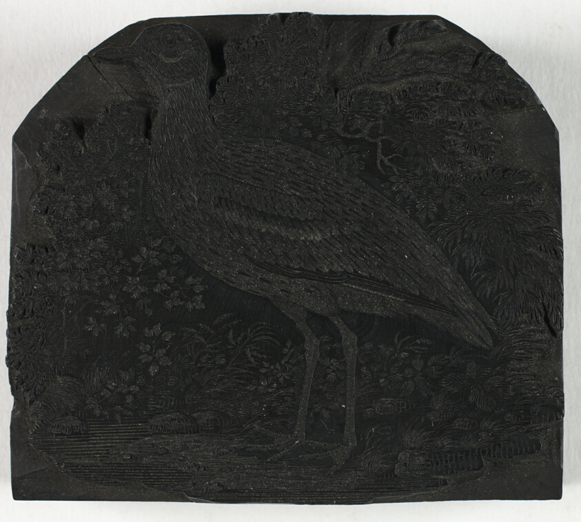 Woodblock for The Great Plover, from A History of British Birds
