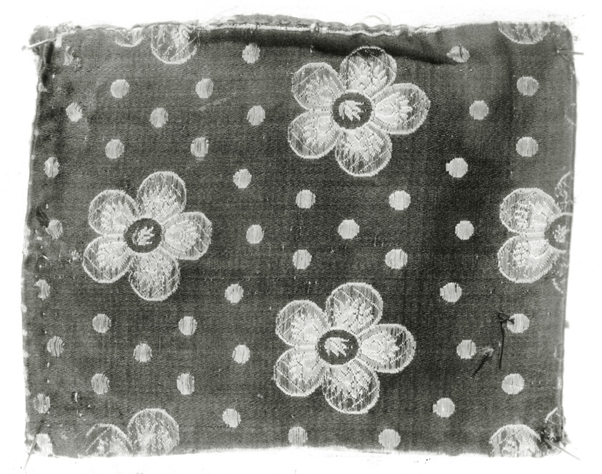 Fragment (Dress Fabric)