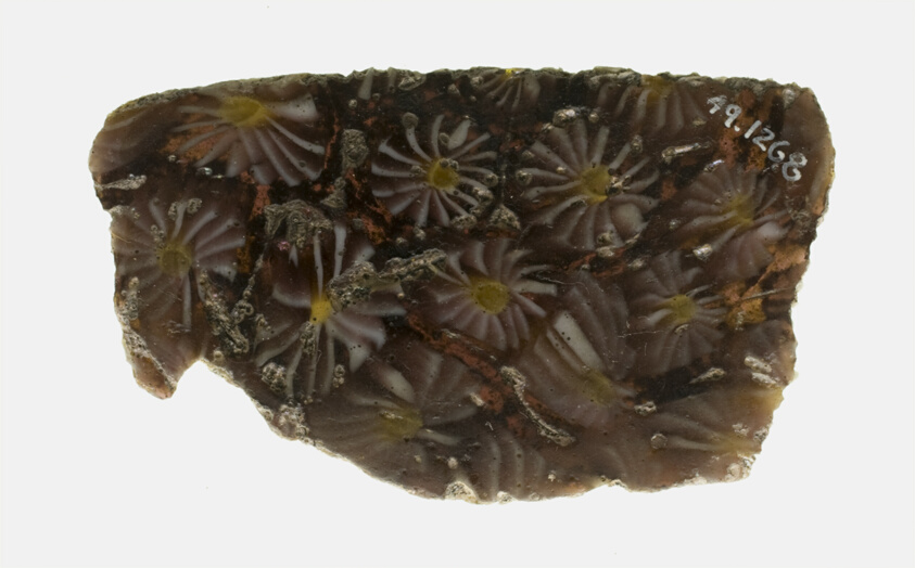 Fragment of a Plate