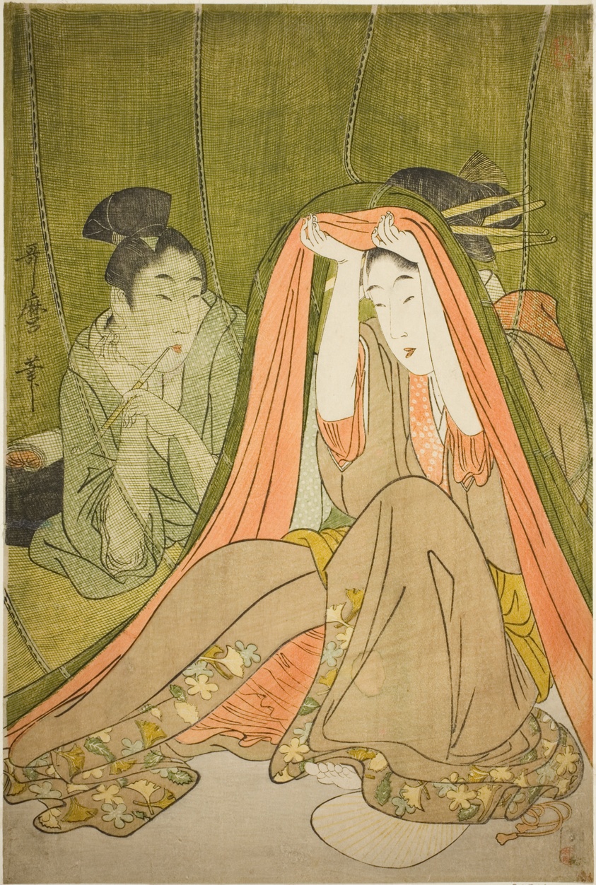Emerging from a Mosquito Net