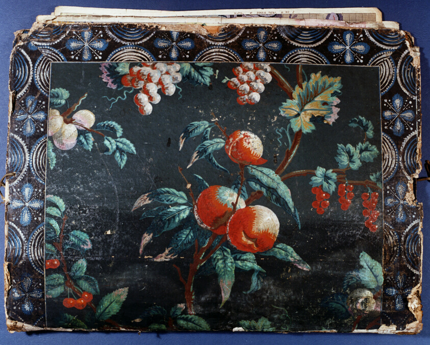 Portfolio Cover