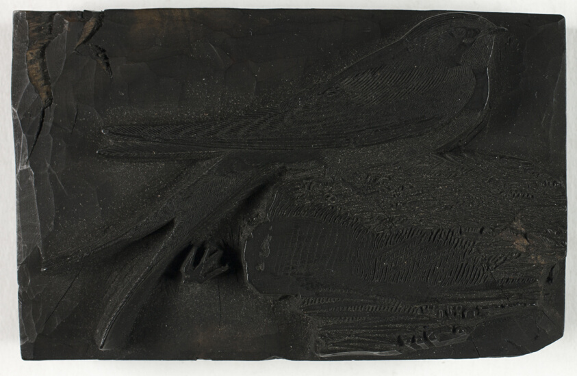 Woodblock for The Swallow, from A History of British Birds