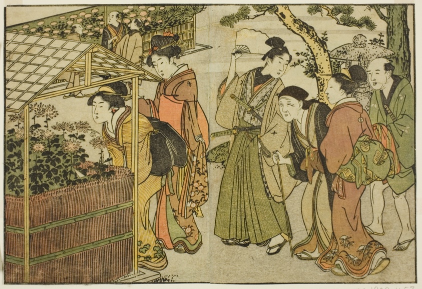 Display of Chrysanthemums, from the illustrated book "Picture Book: Flowers of the Four Seasons (Ehon shiki no hana)," vol. 2
