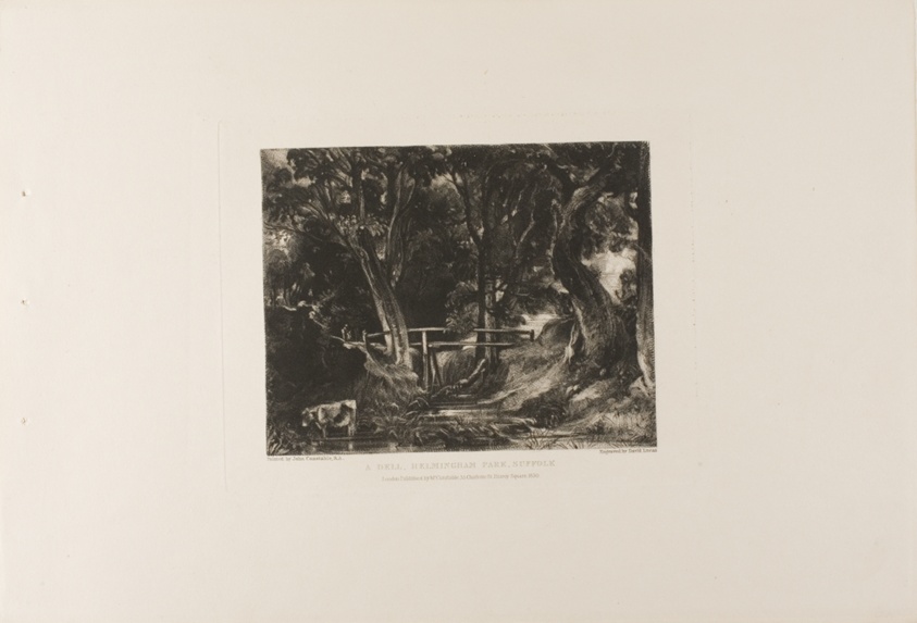 A Dell, Helmingham Park, Suffolk