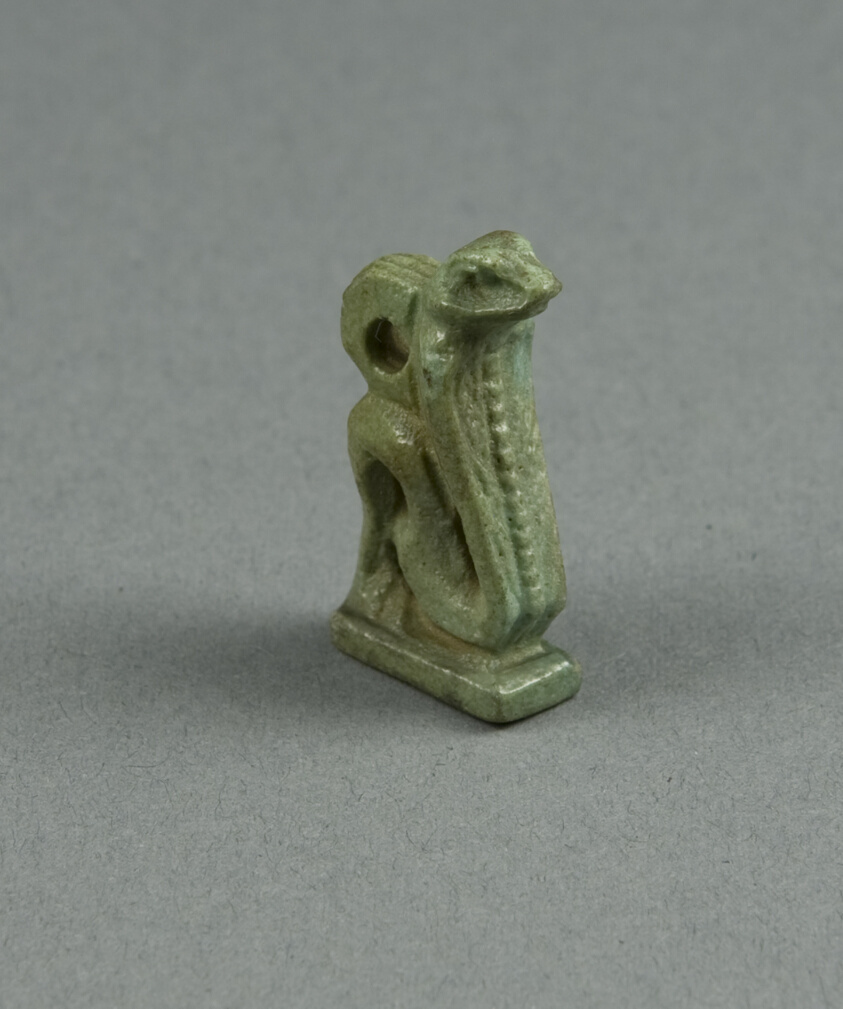 Amulet of a Cobra