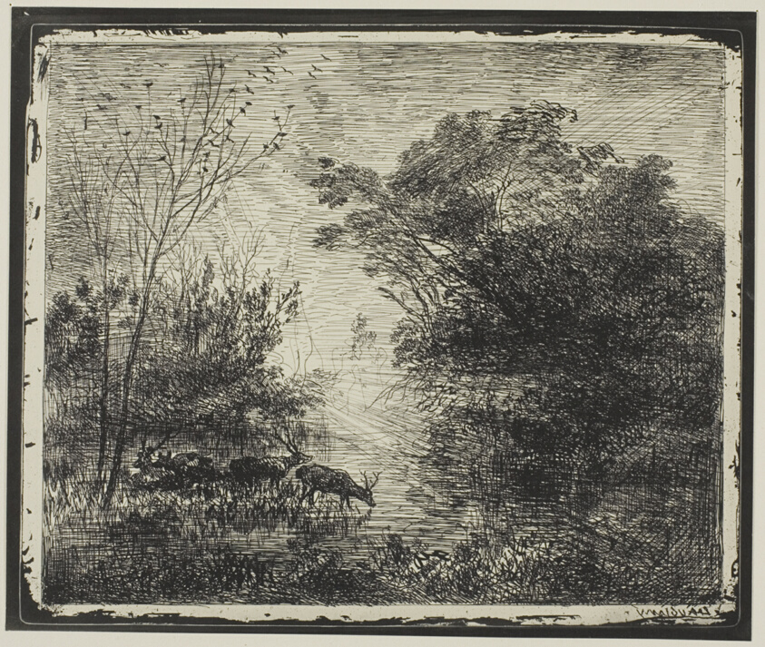 Stags