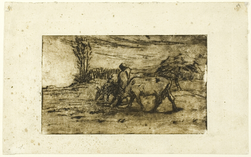 The Two Cows
