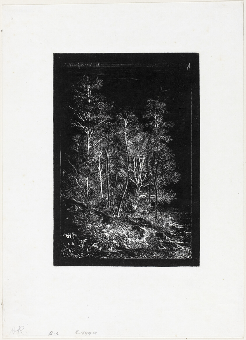 Trees