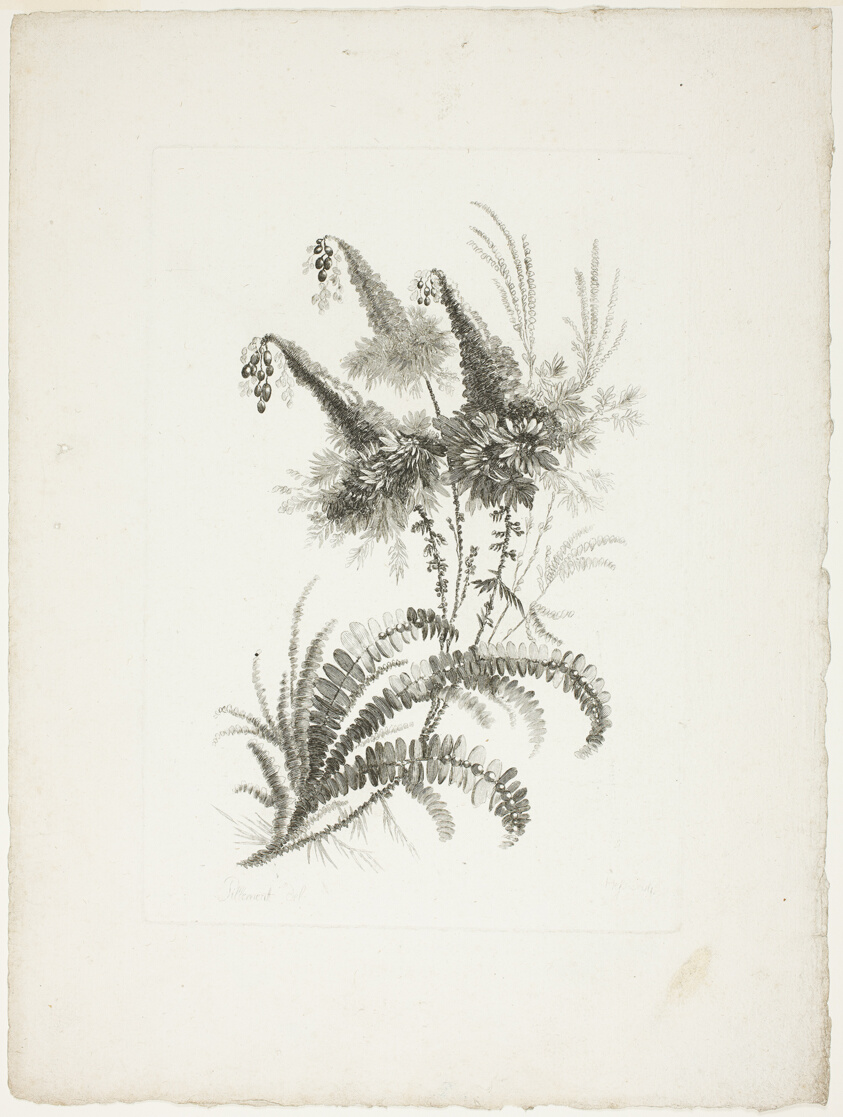 Bouquet, from Collection of New Flowers of Taste for the Manufacture of Persian Cloth, Invented and Drawn by Jean Pillement