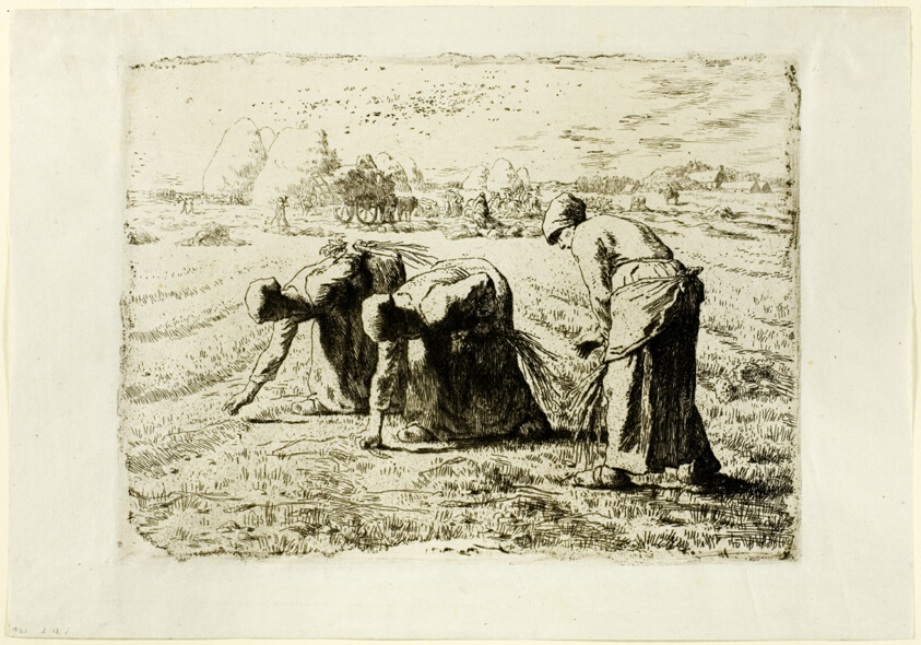 The Gleaners