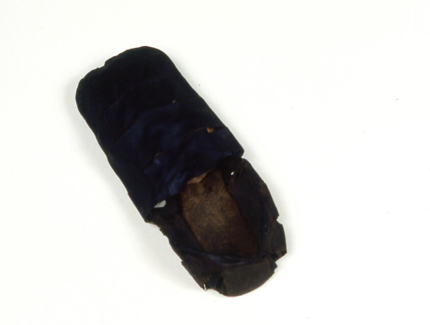 Shoe