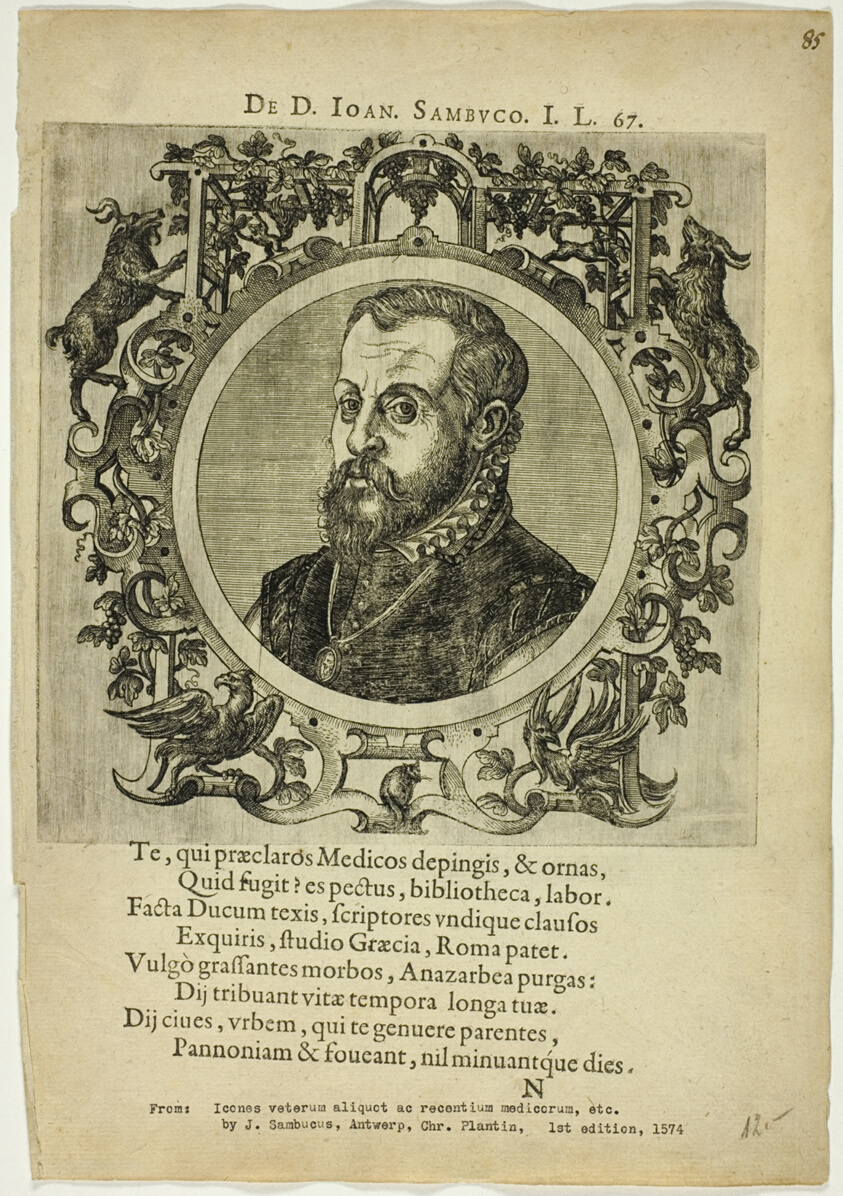 Portrait of Dr. Joan Sambuco