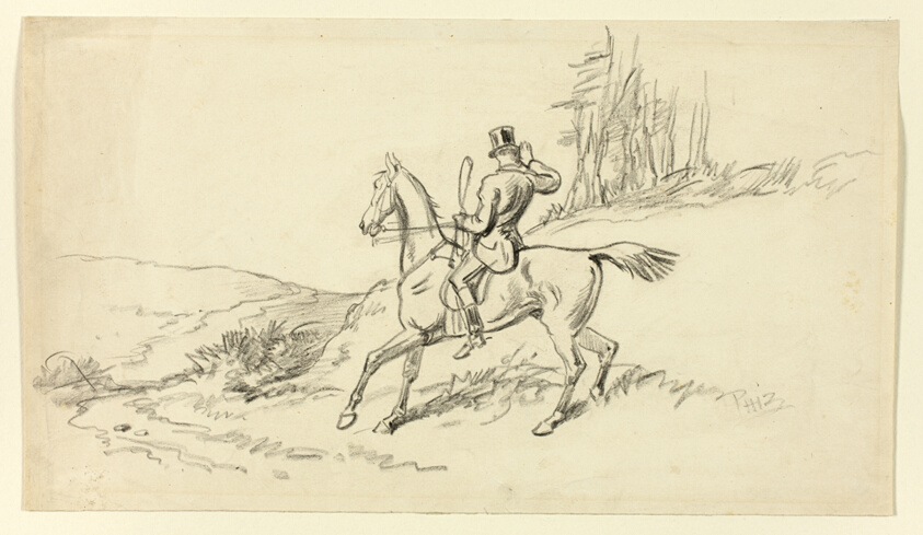 Rider Reining in Horse