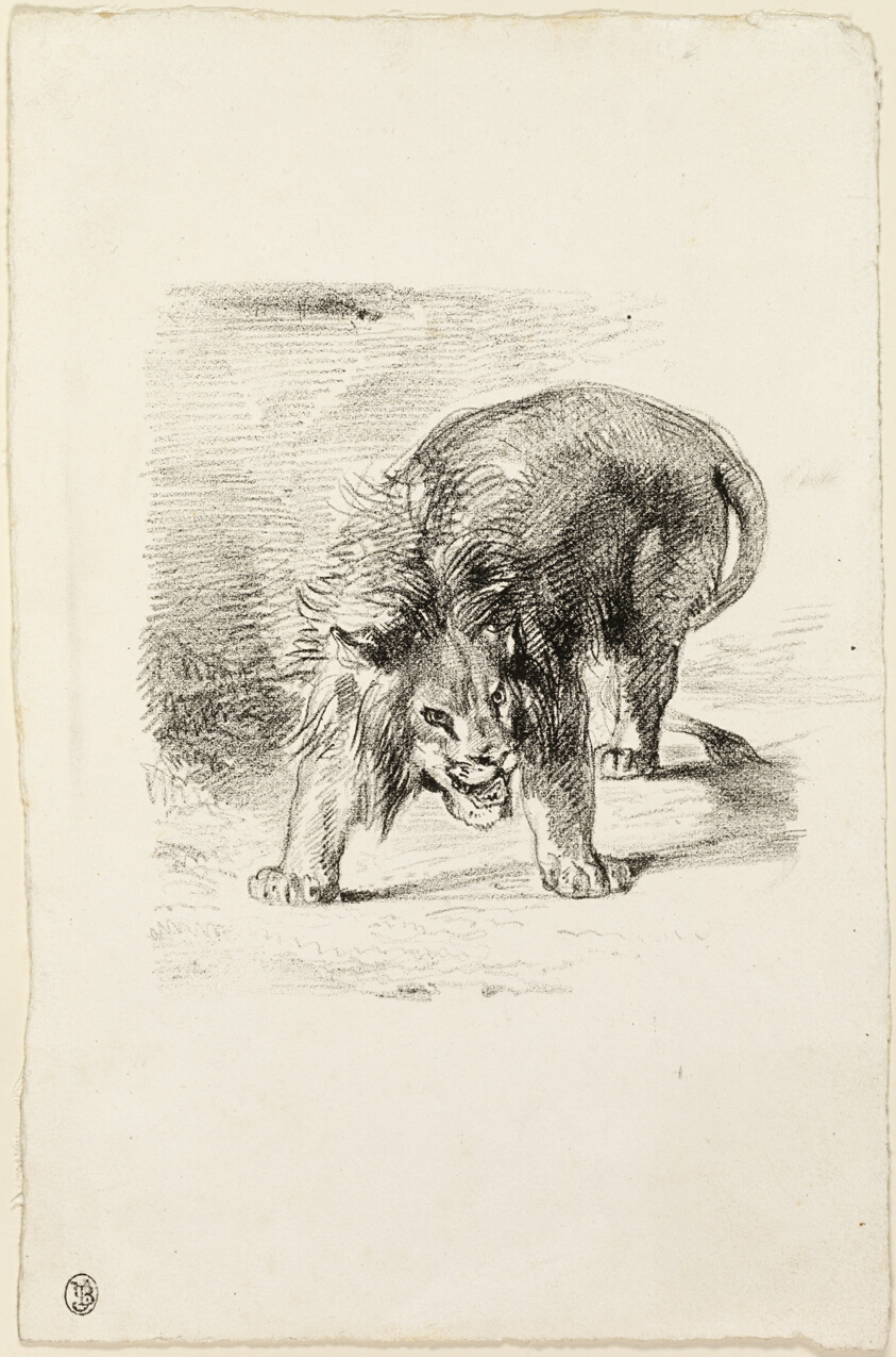 Standing Lion