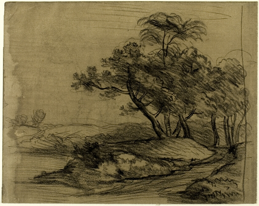 River Bank with Trees (recto); Herd of Cattle Beneath Trees, with Inset Sketch of Landscape (verso)