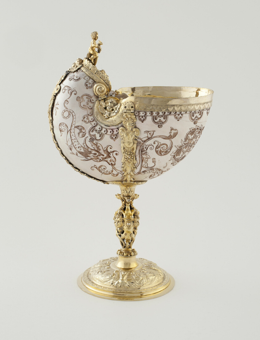Nautilus Shell Cup