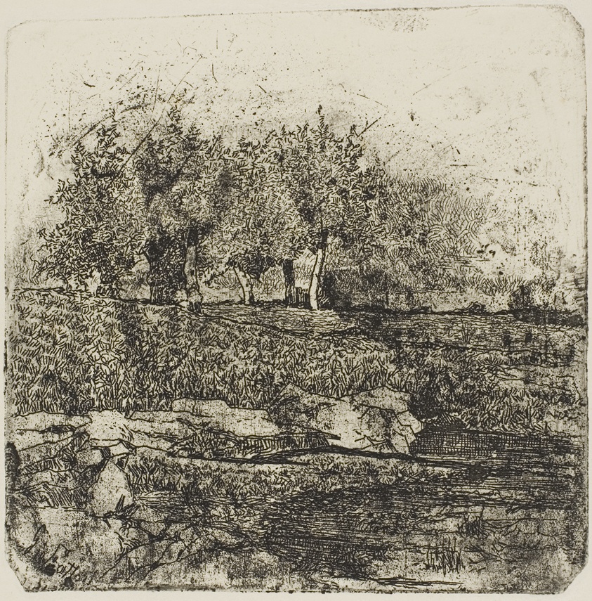 Trees in a Meadow