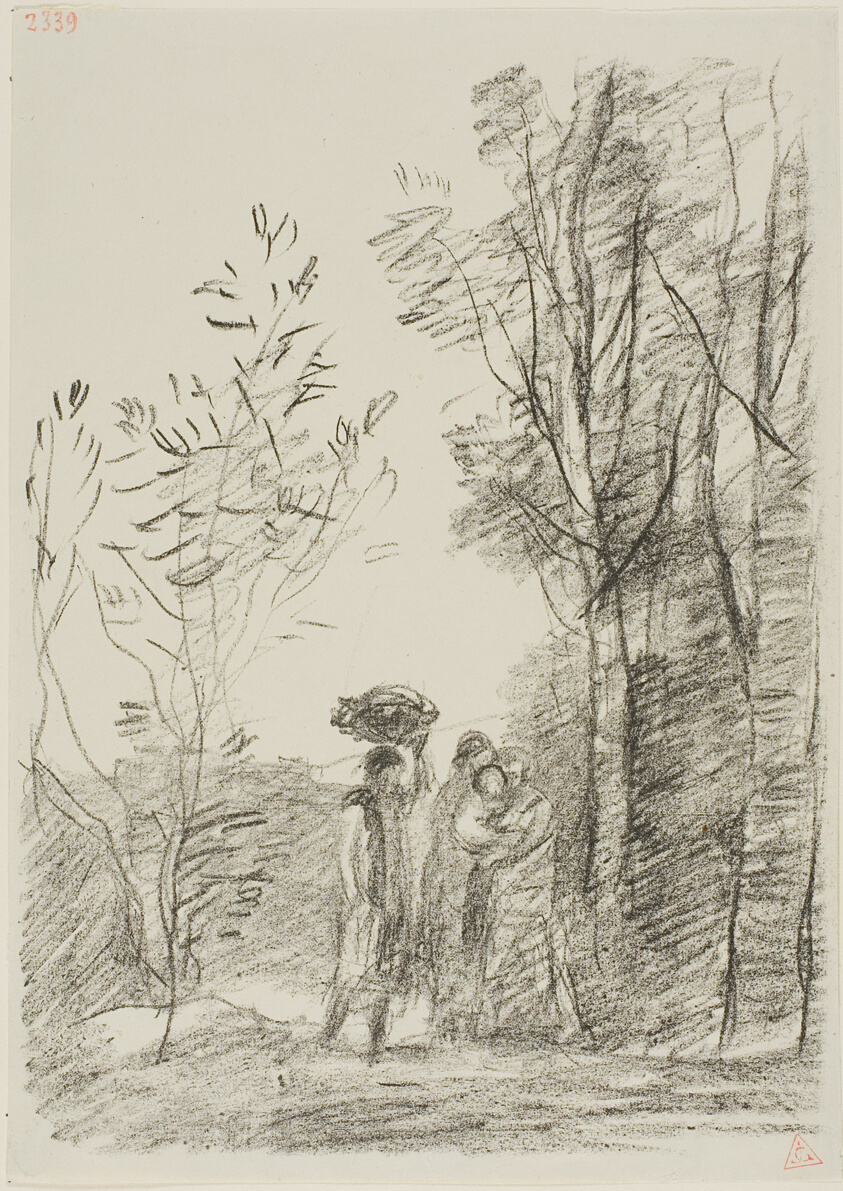 Meeting in the Woods
