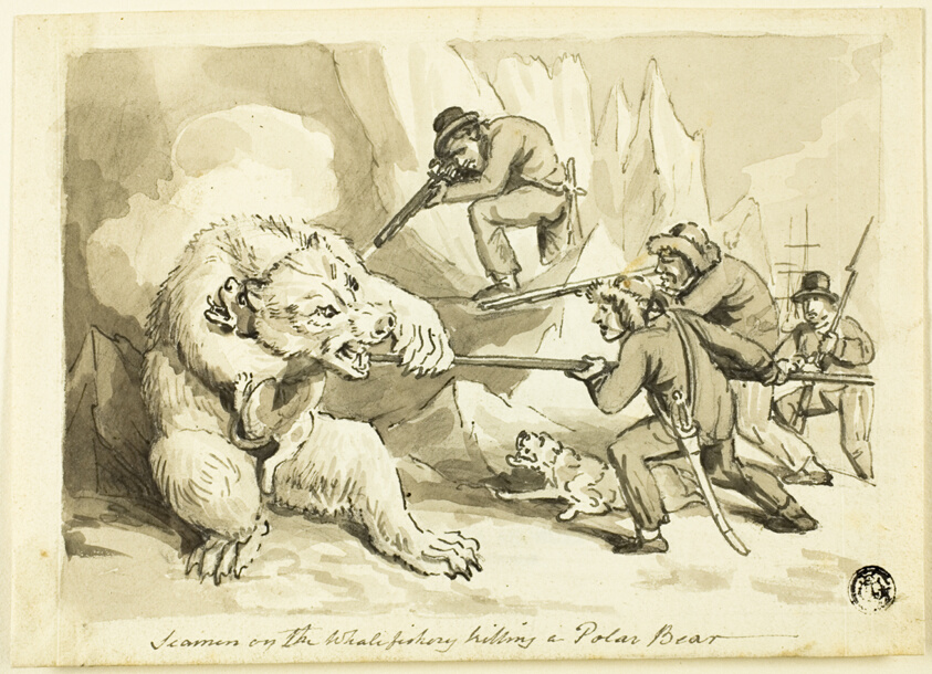 Seamen on the Whale Fishery Killing a Polar Bear (recto); Shell (verso)