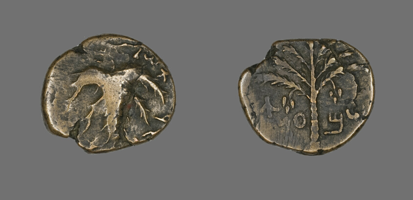 Coin Depicting a Seven-Branched Palm Tree
